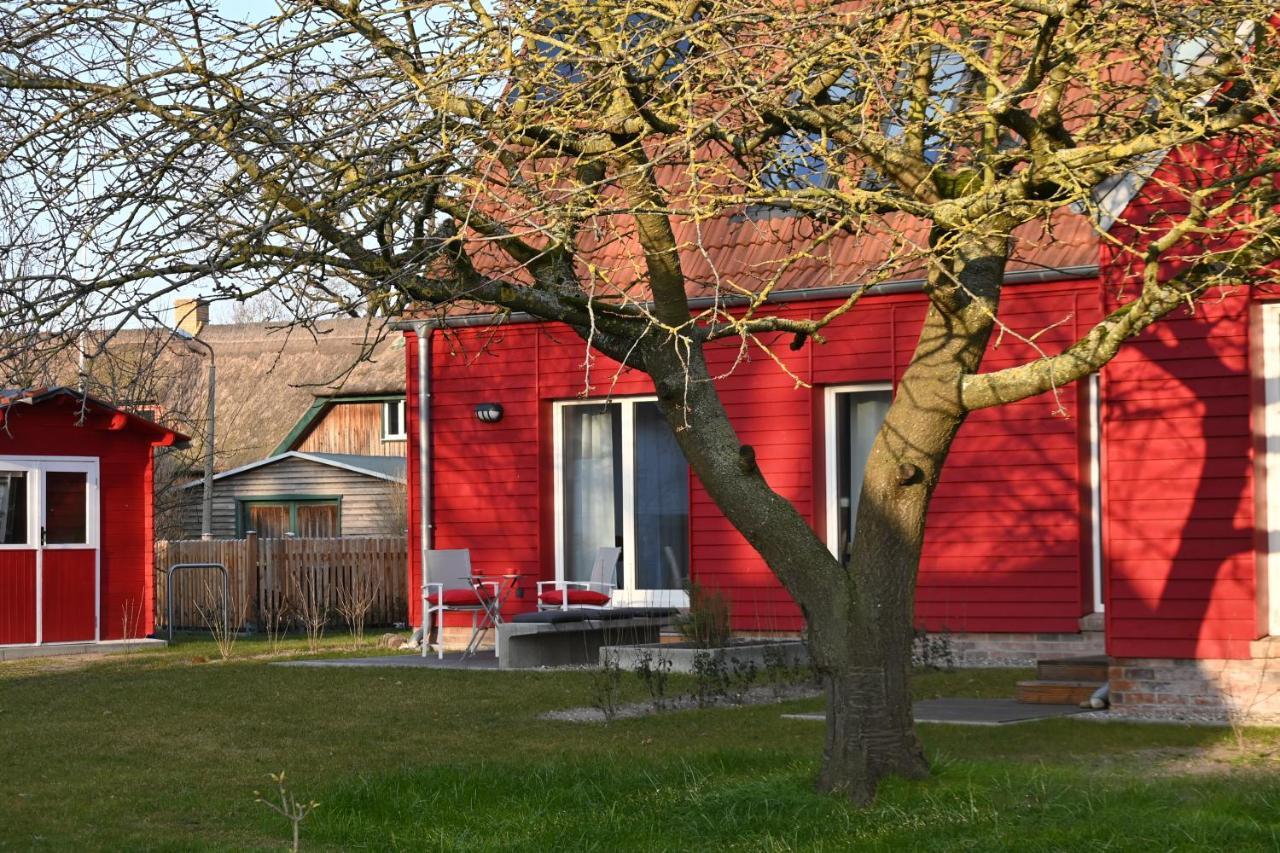 Ferienwohnung Rote Kate Born Eksteriør bilde